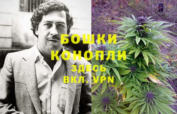 прущий лед Белокуриха