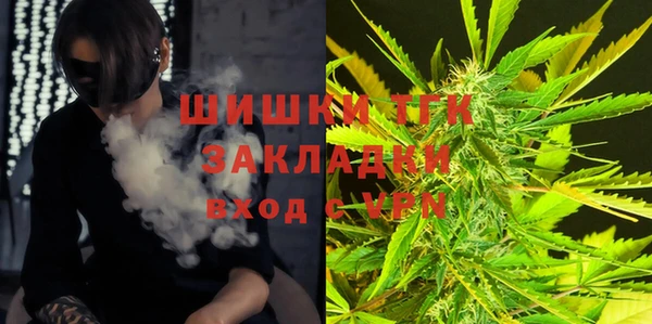 спиды Инсар