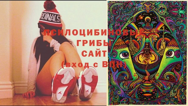 прущий лед Белокуриха