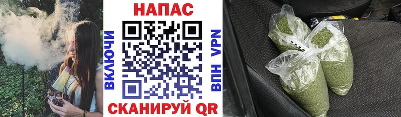 OMG ССЫЛКА  Куртамыш  Конопля гибрид  сколько стоит 
